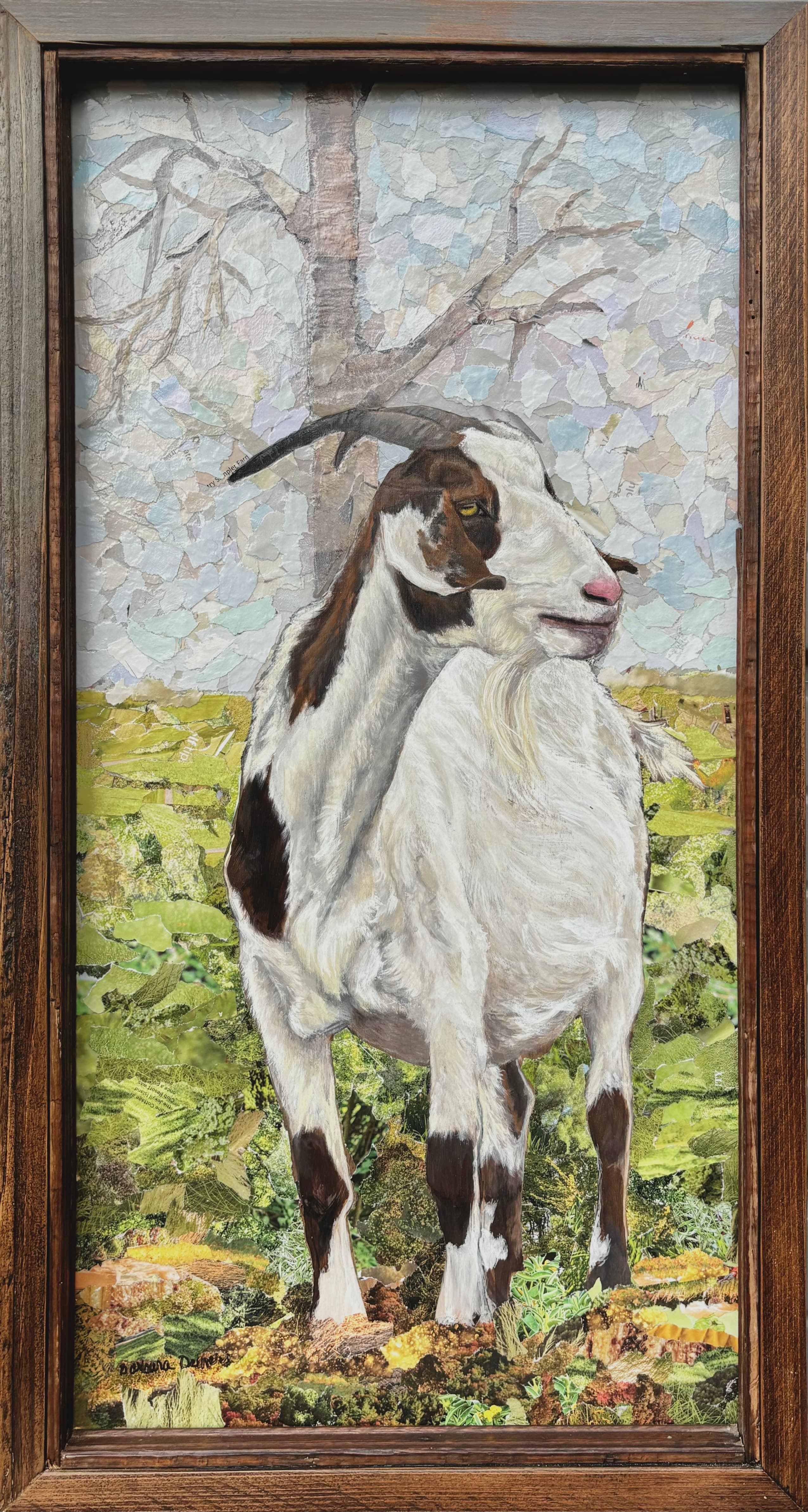 Gilly Goat in Spring Light