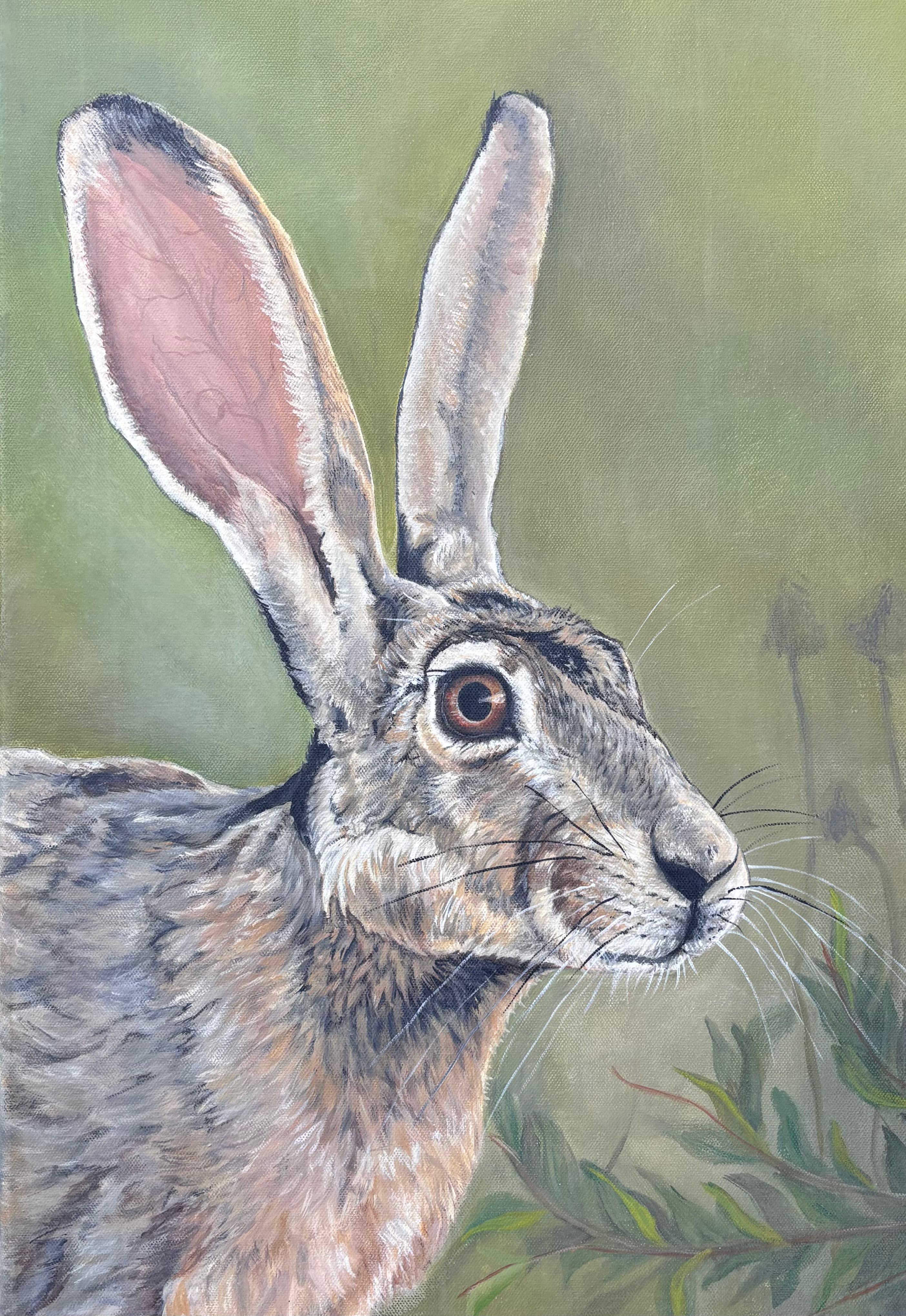 Hare in the Meadow