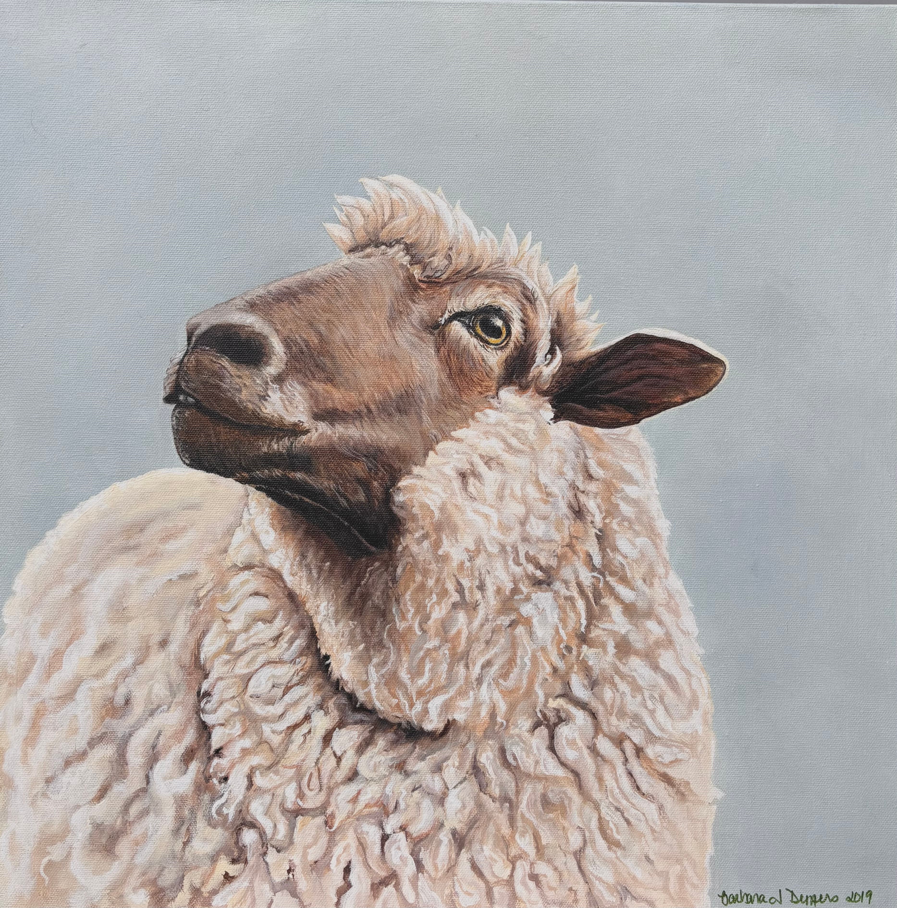 Shep the Sheep
