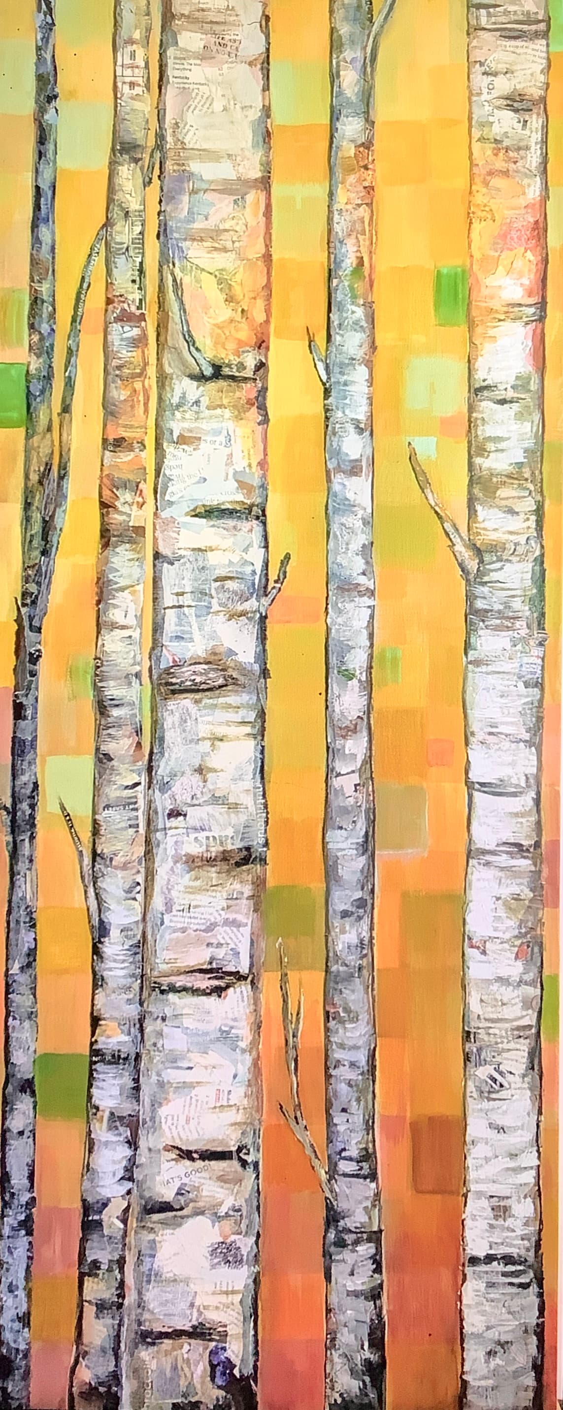 Birch Grove