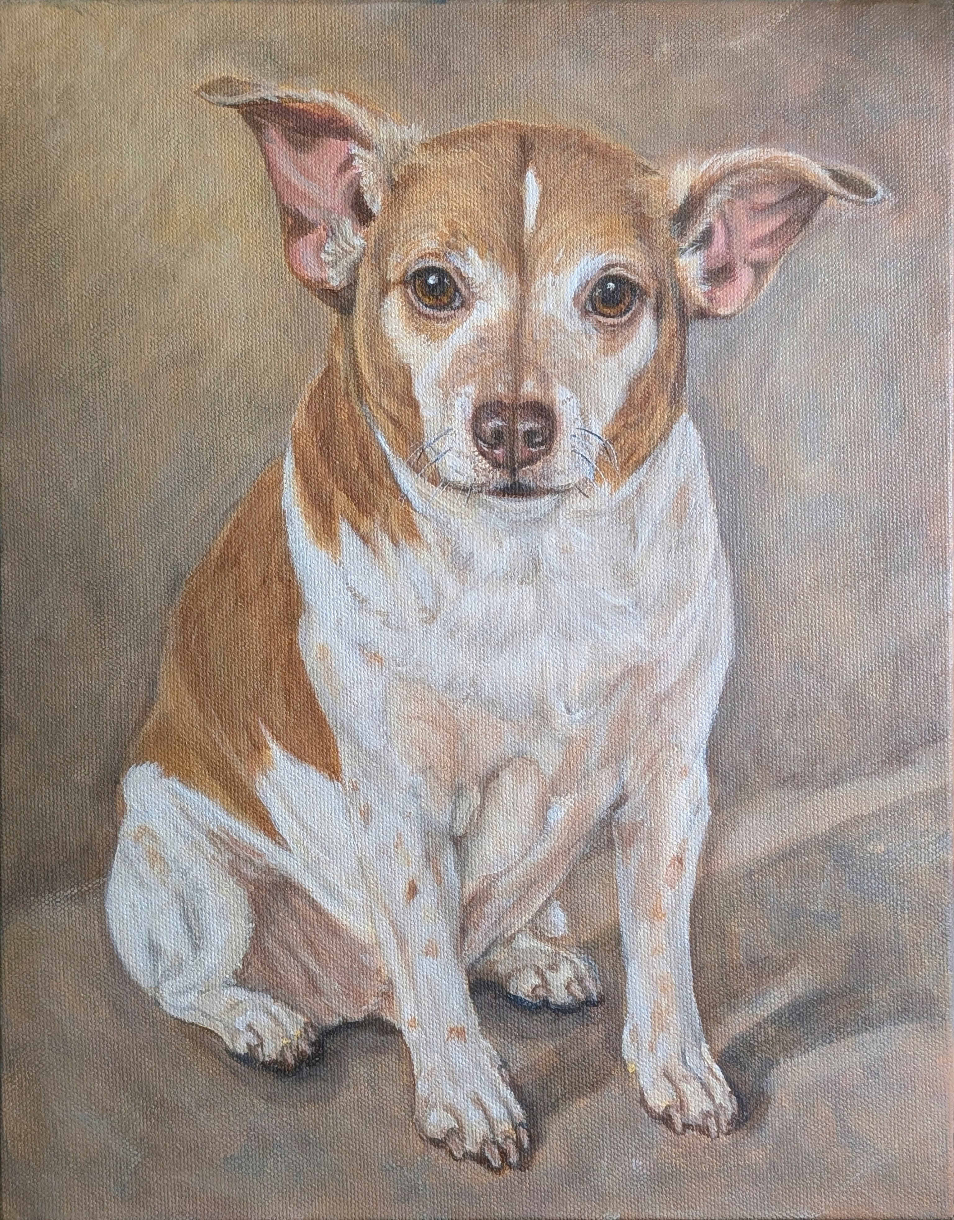 Bobo — commissioned portrait of a sweet bobo commission